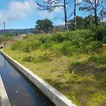 Quinta Frizado *