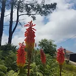 Appartamento Quinta Frizado