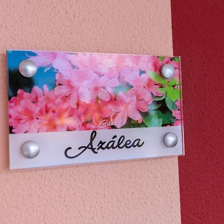 Quinta Frizado Appartement