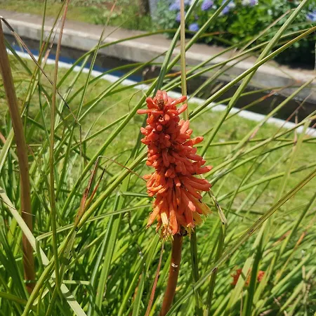 Appartement Quinta Frizado *