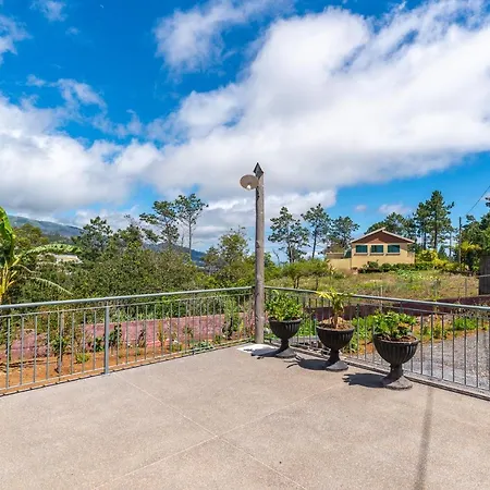 Quinta Frizado * Prazeres