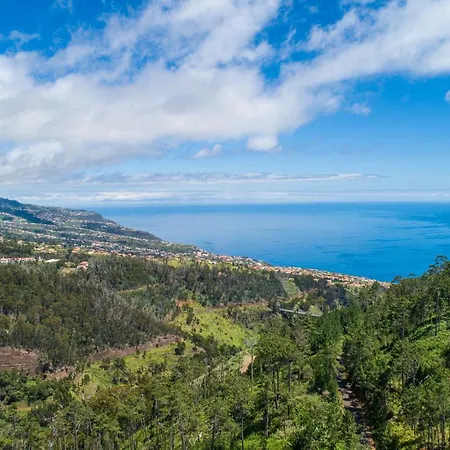 Apartmán Quinta Frizado Prazeres