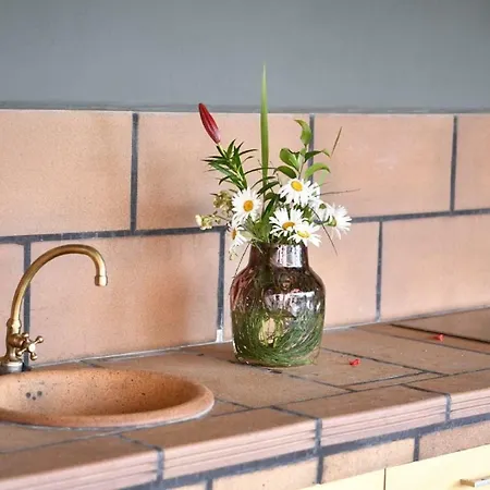 Daire Quinta Frizado Prazeres