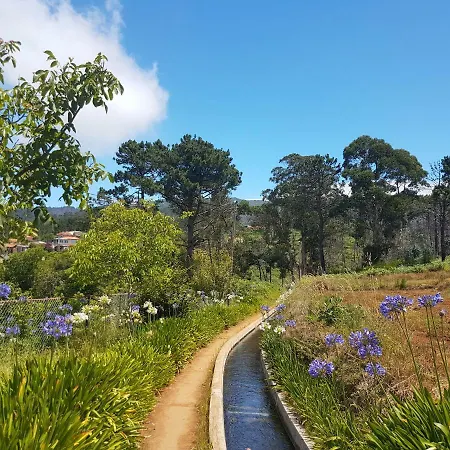 Quinta Frizado Daire *