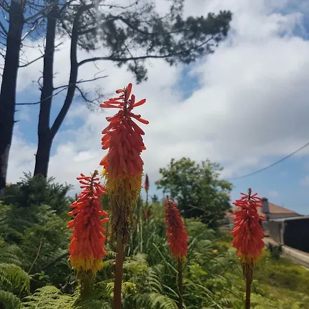 Apartmán Quinta Frizado