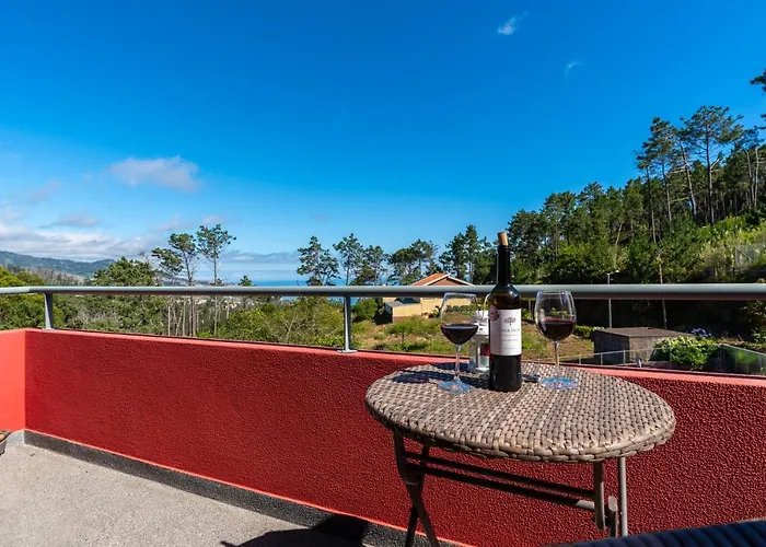 Quinta Frizado Prazeres