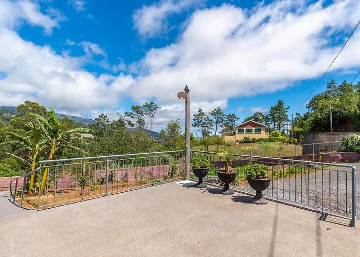 Quinta Frizado * Prazeres